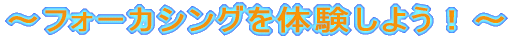 �`�t�H�[�J�V���O��̌����悤�I�`