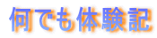 ���ł��̌��L